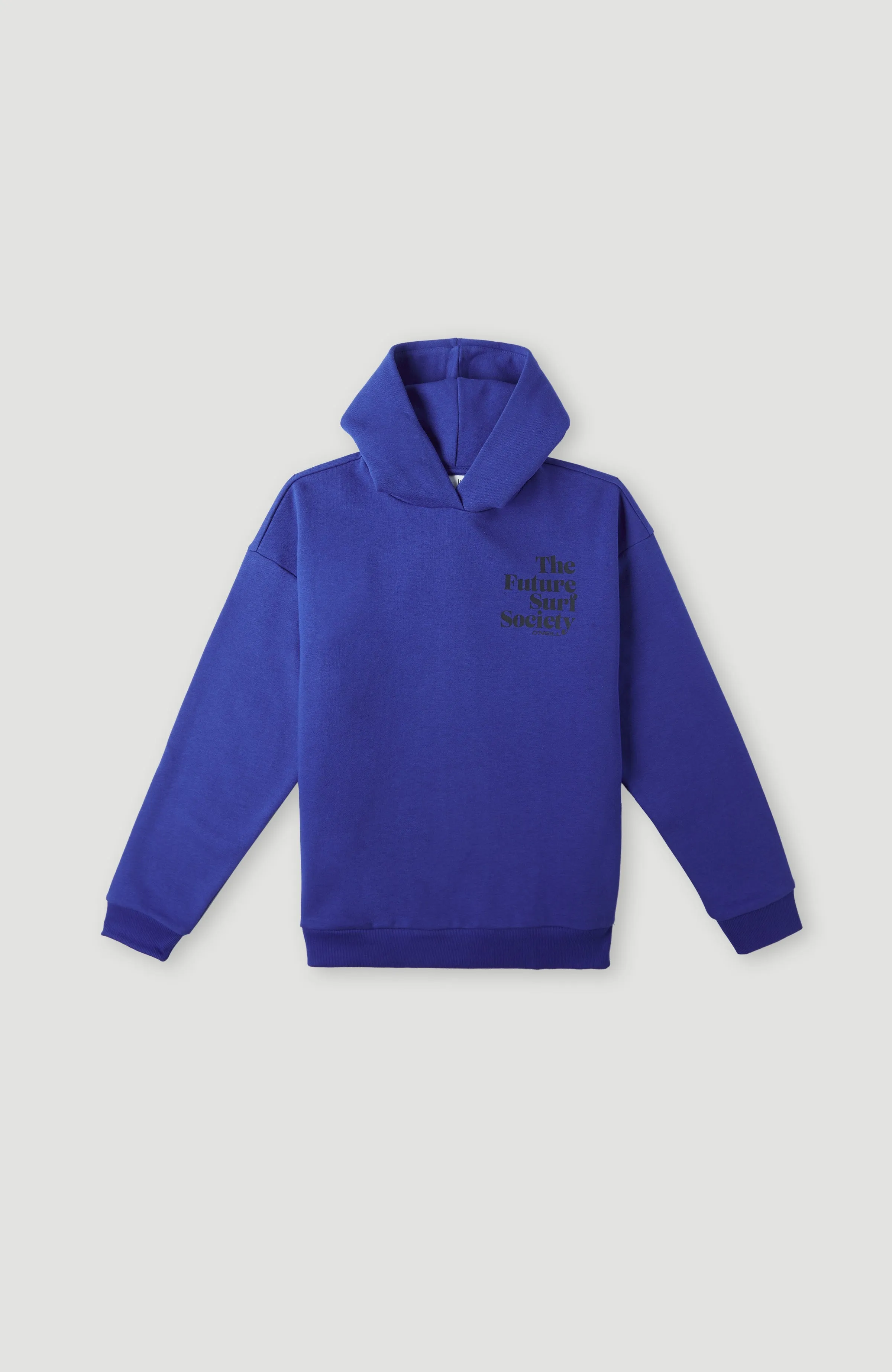 Future Surf Society Hoodie | Surf the web Blue