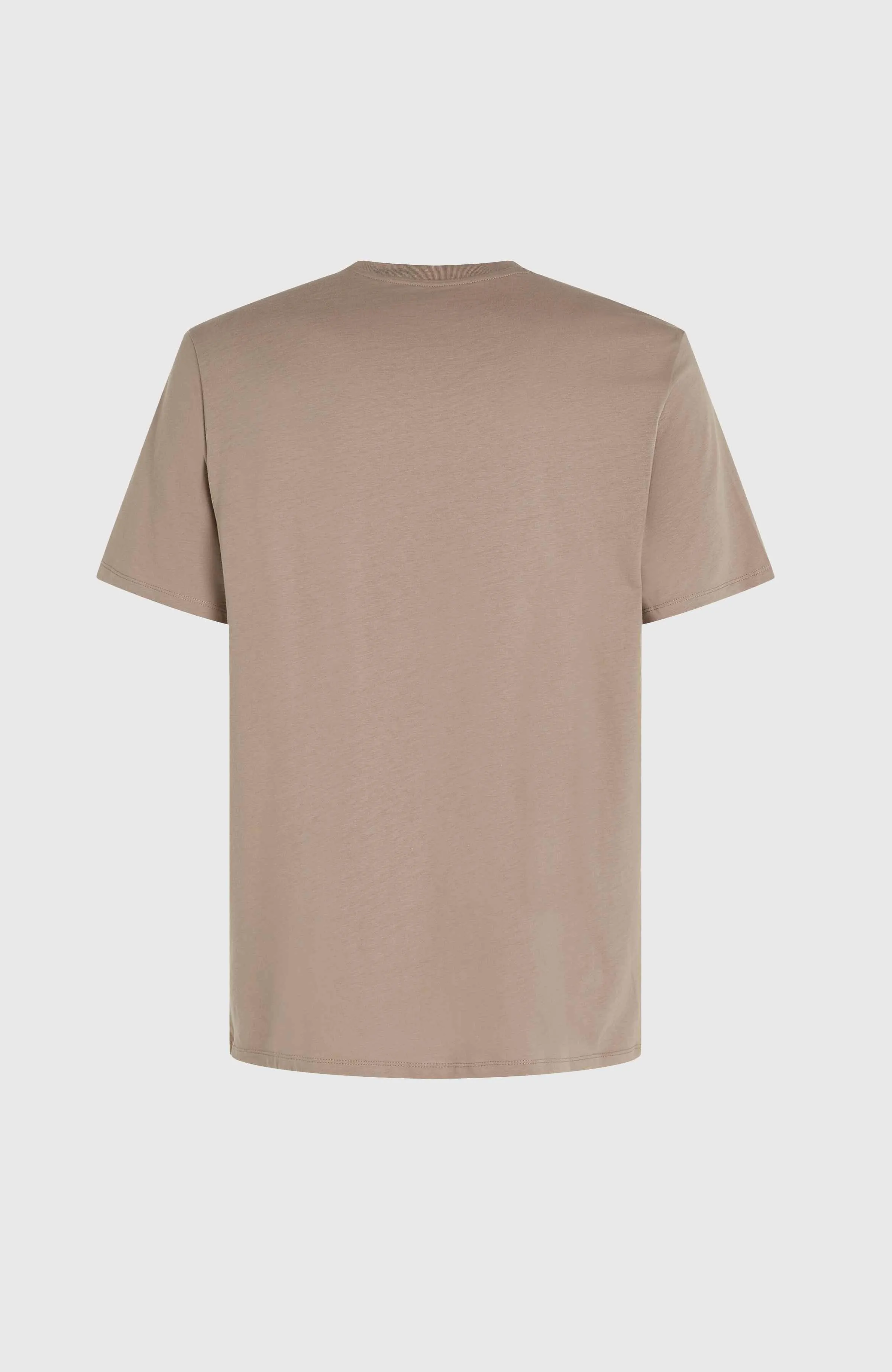 O'Neill Logo T-Shirt | Pumpkin Smoke