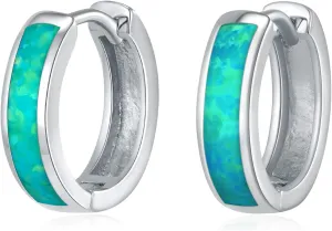 Opal Stud Huggie Hoop Earrings: Hypoallergenic 14K Gold/Silver/Rose Gold Plated Small Hoop Earrings for Women Sensitive Ears