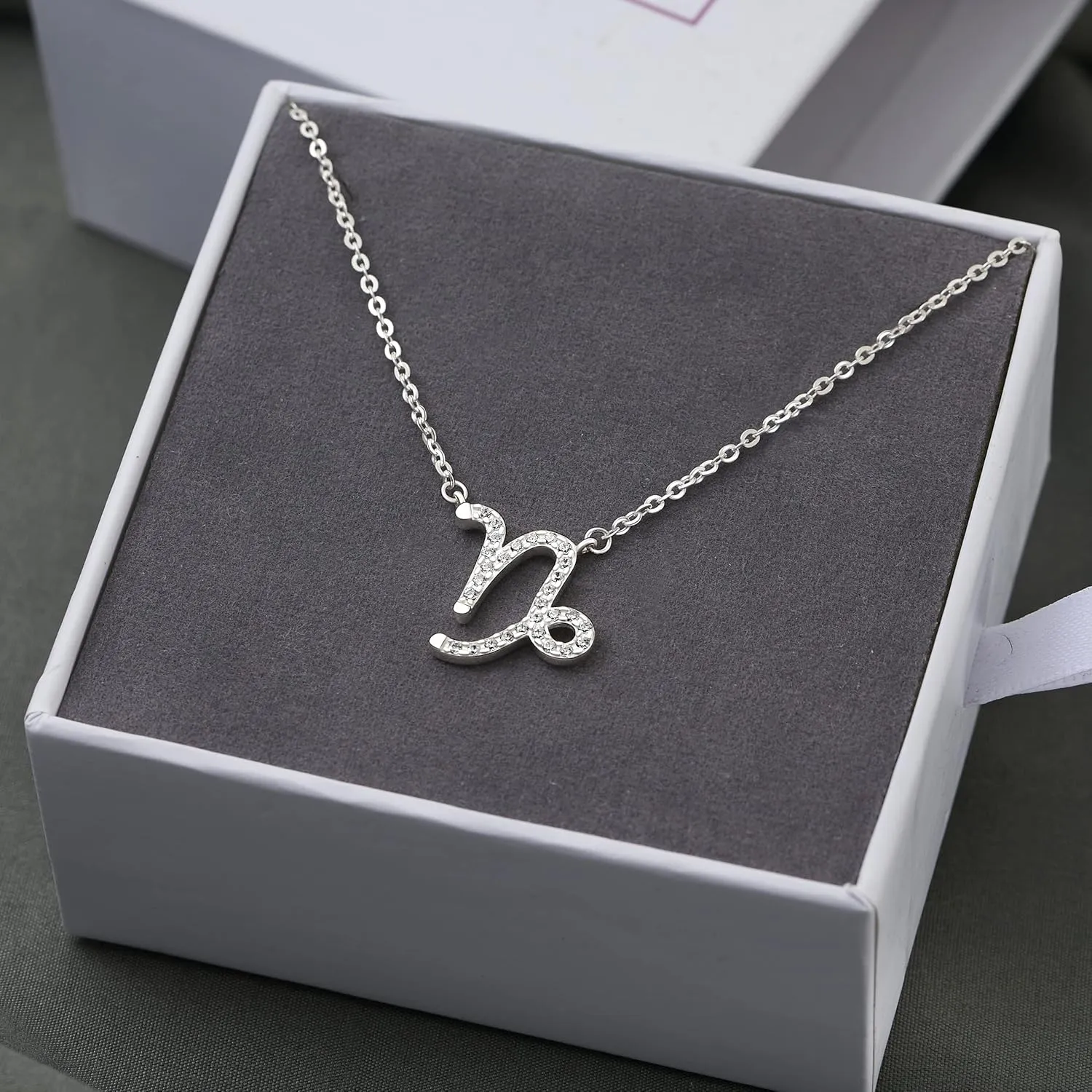 Zodiac Necklaces for Women Sterling Silver, 12 Horoscope Constellation Zodiac Sign Necklace, 18" - 20" Polo Chain Zodiac Jewelry Celestial Necklace, Birth Year Necklace